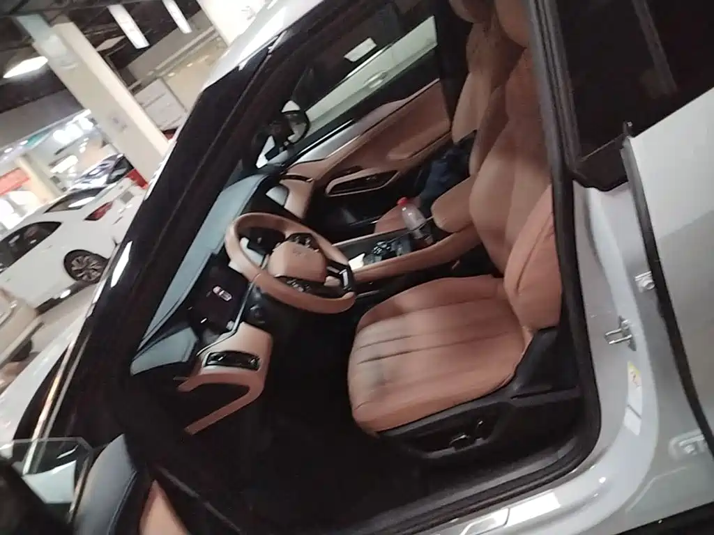 BYD Song L EV 2024 2024 550km Surpassing Type