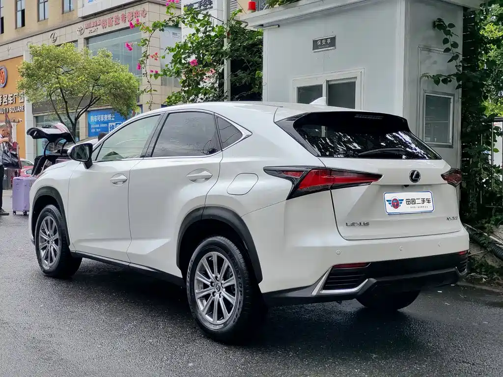 LEXUS NX
