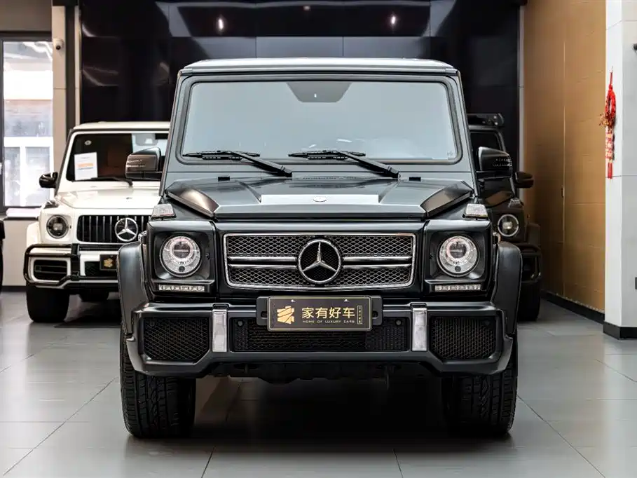 Mercedes-Benz G-Class AMG 2013 AMG G 65 фото 2