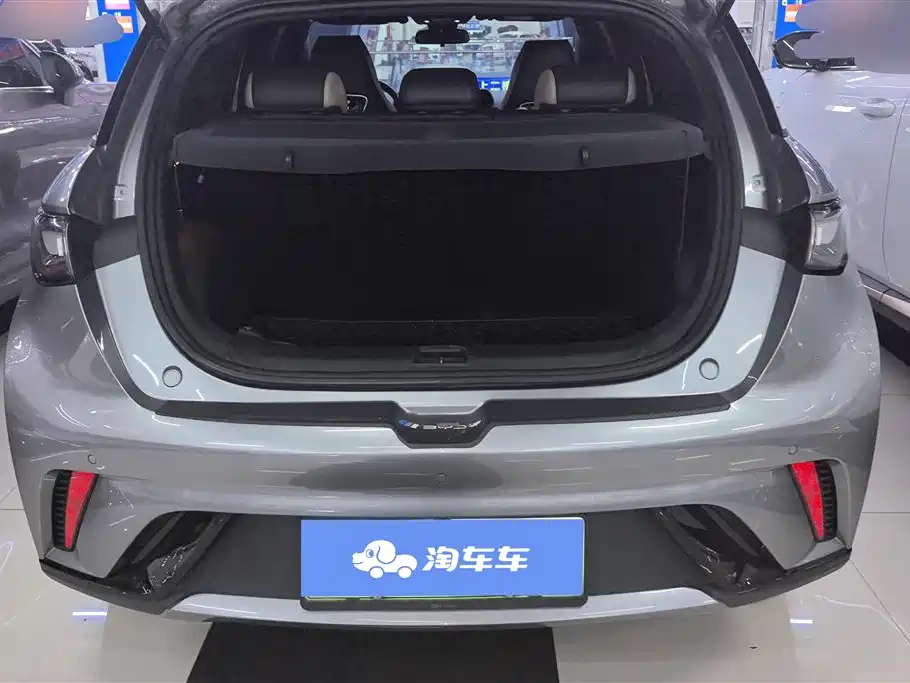 BYD Dolphin 2023 420km Fashion Edition фото 4
