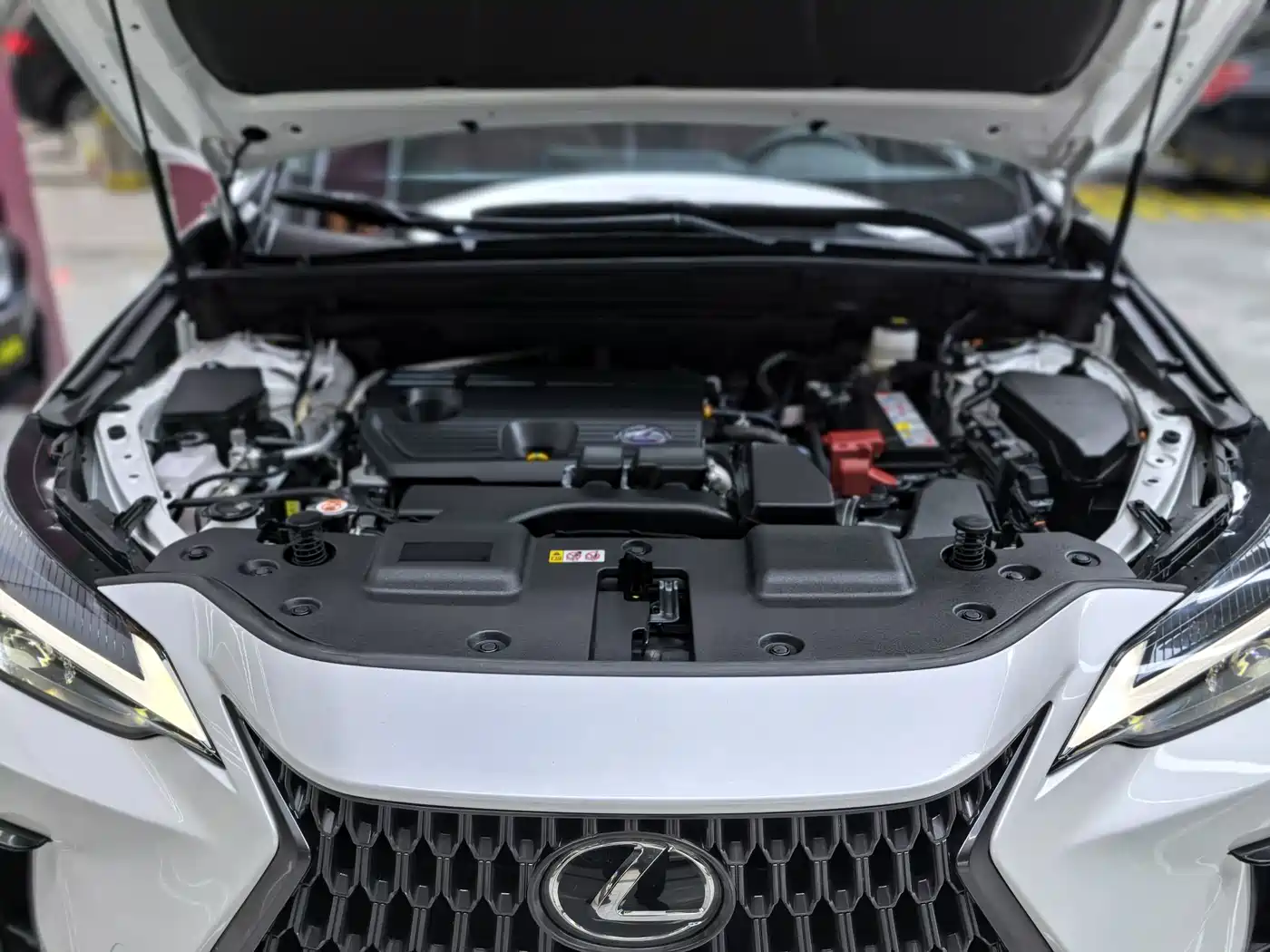 Lexus NX 2024 260 FWD Joy Creation Edition фото 35