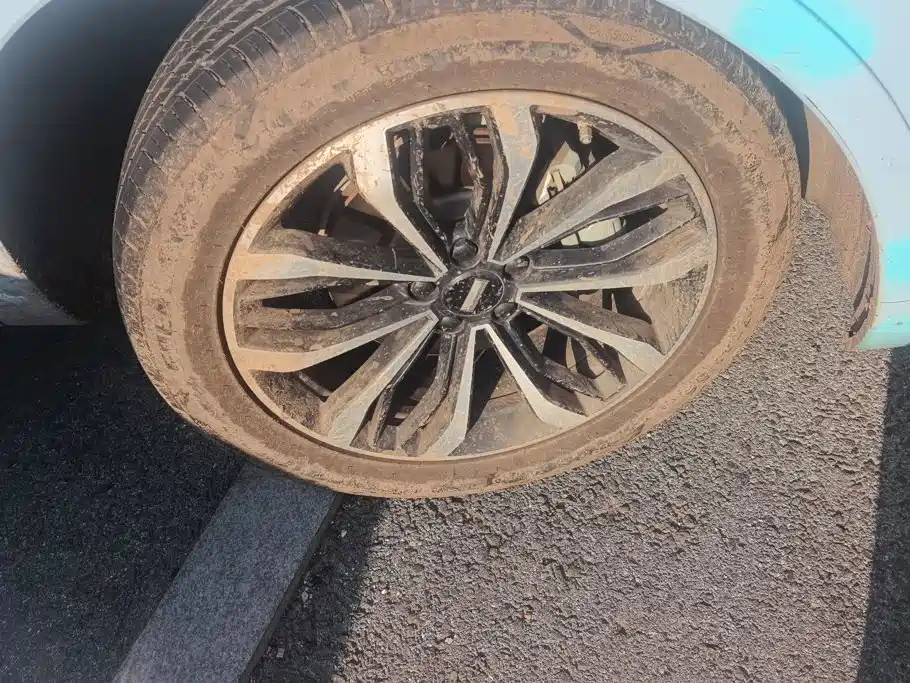 WEY Mocha 2021 2021 2.0T 4WD Premium Edition