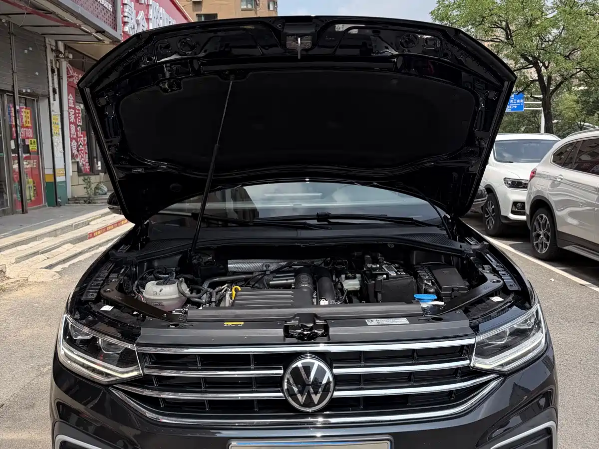 Фото 11 - Volkswagen Tiguan L