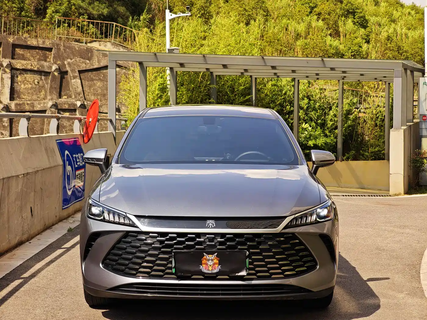 BYD Qin PLUS 2025 DM-i Smart Drive 55KM Leader фото 2