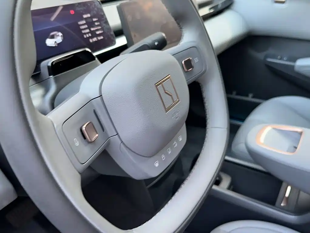 ZEEKR X 2025 2025 5-Seater Long Range Edition