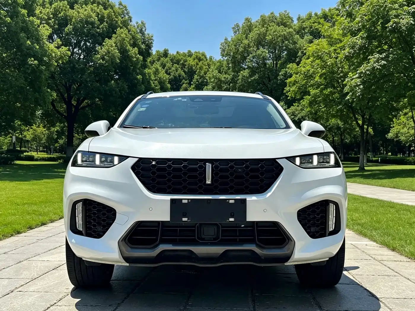 WEY VV7 2017 2017 2.0T Flagship