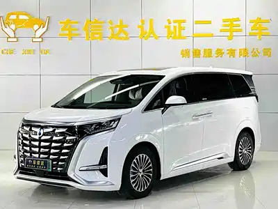 Denza D9