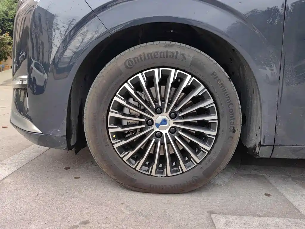 Denza D9 2023 2022 DM-i 1040 Premium