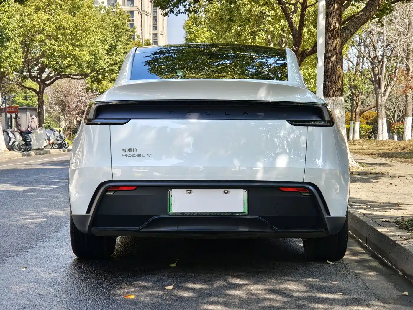 TESLA MODEL Y