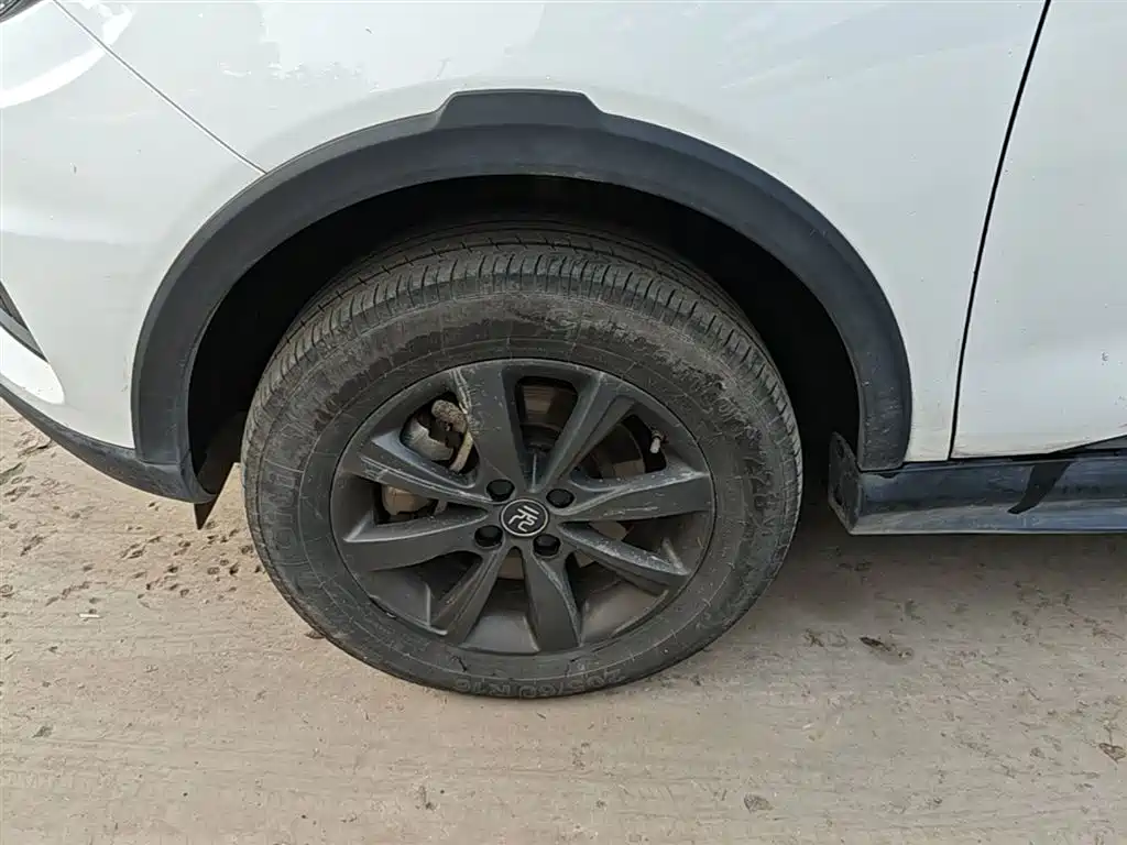 BYD Yuan New Energy 2019 EV535 Smart Connected Trend Leader Type фото 23