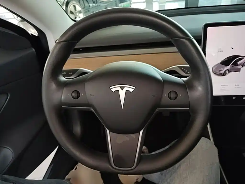 Tesla Model 3 (Import) 2019 2019 Long Range RWD Version