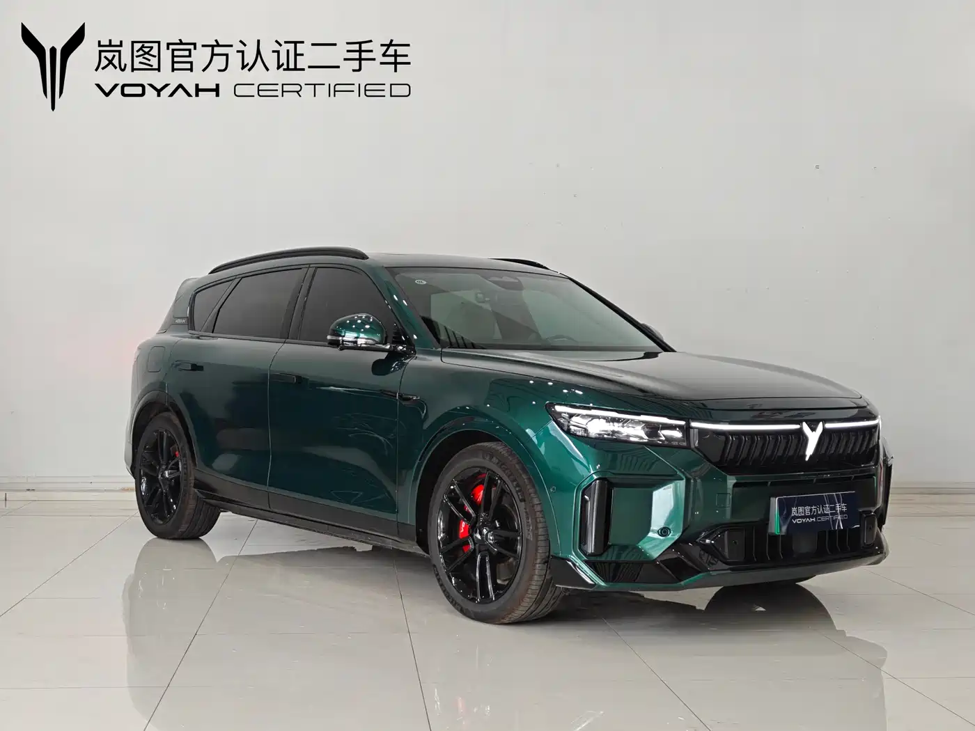 Voyah Auto VOYAH FREE 2025 318 259km 4WD Explorer Edition фото 3