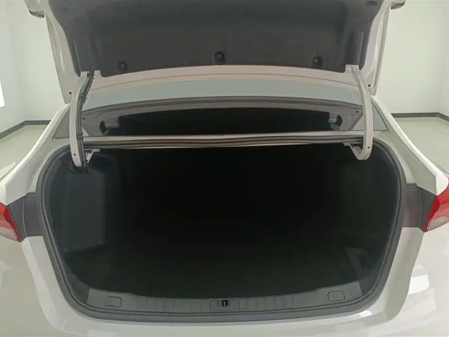 BUICK WEILANG