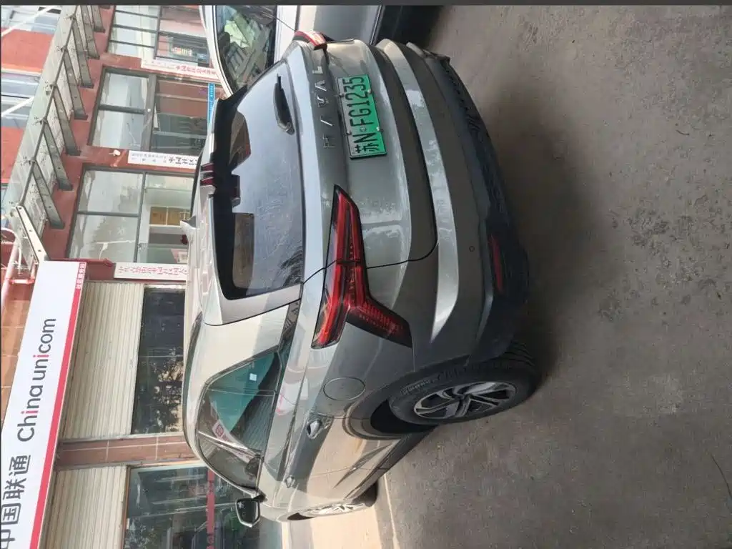 Haval Xiaolong 2024 2023 1.5L 110KM Leading Edition