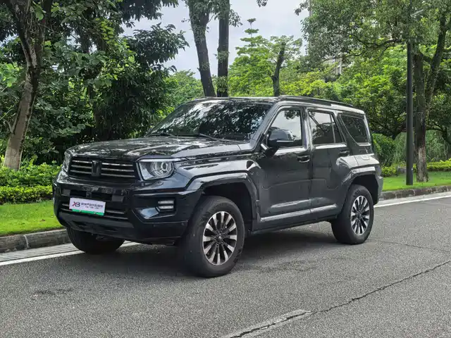  Tank Tank 700 New Energy 2024 Hi4-T Extreme Edition