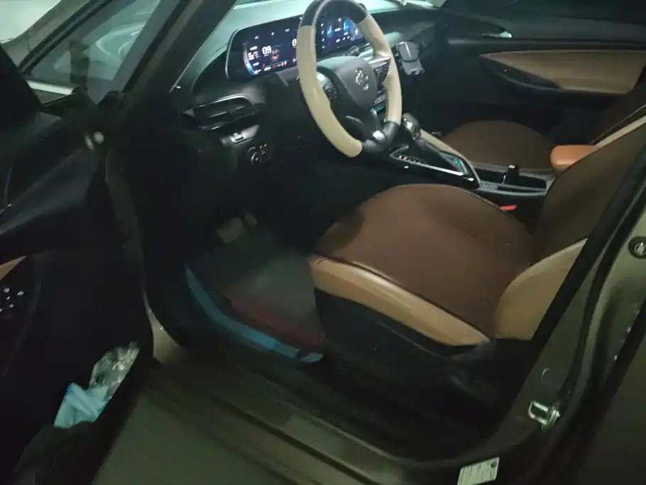 Фото 8 - Buick GL6