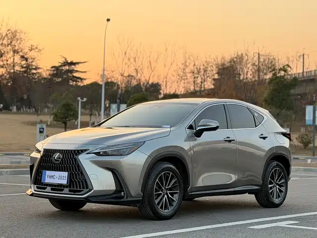 Lexus NX 2022 260 FWD Joy Creation Edition