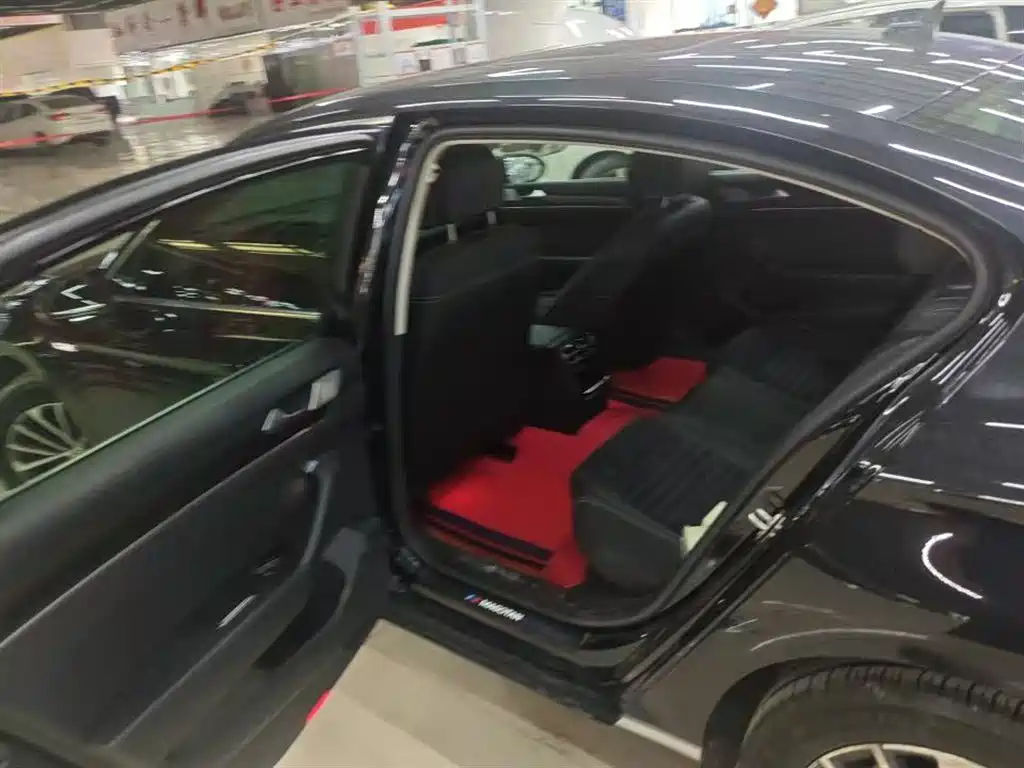 Volkswagen Magotan 2020 330TSI DSG Luxury фото 4
