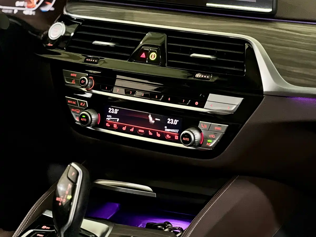 BMW 5 Series 2021 530Li Leading Luxury Package фото 10