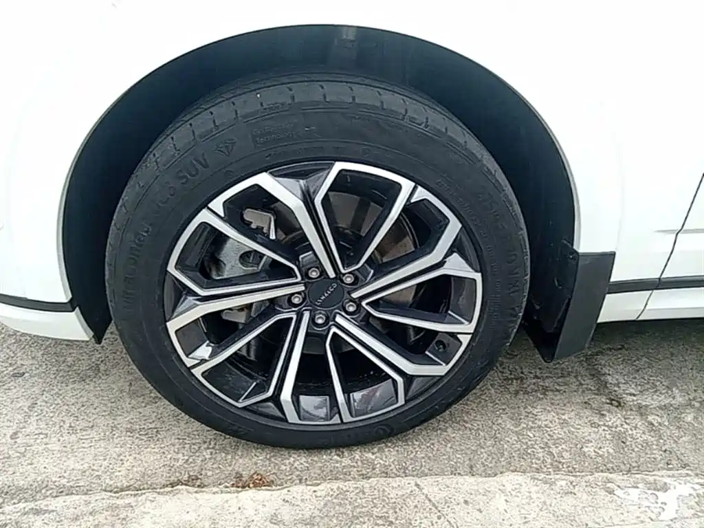 Lynk & Co 09 EM-P 2023 2.0TD EM-P Voyage PM 7-Seater фото 23