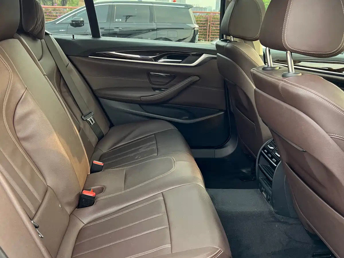 BMW 5 Series 2019 525Li Luxury Package фото 10