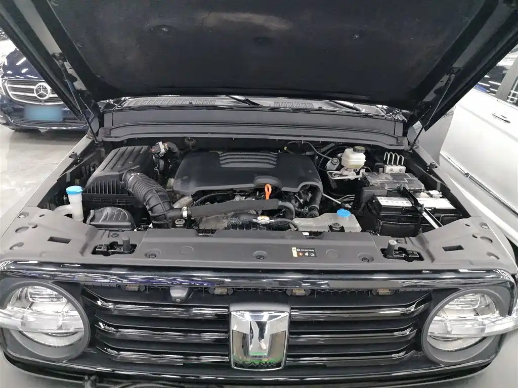 Tank 300 2023 Off-Road Edition 2.0T Conqueror фото 16
