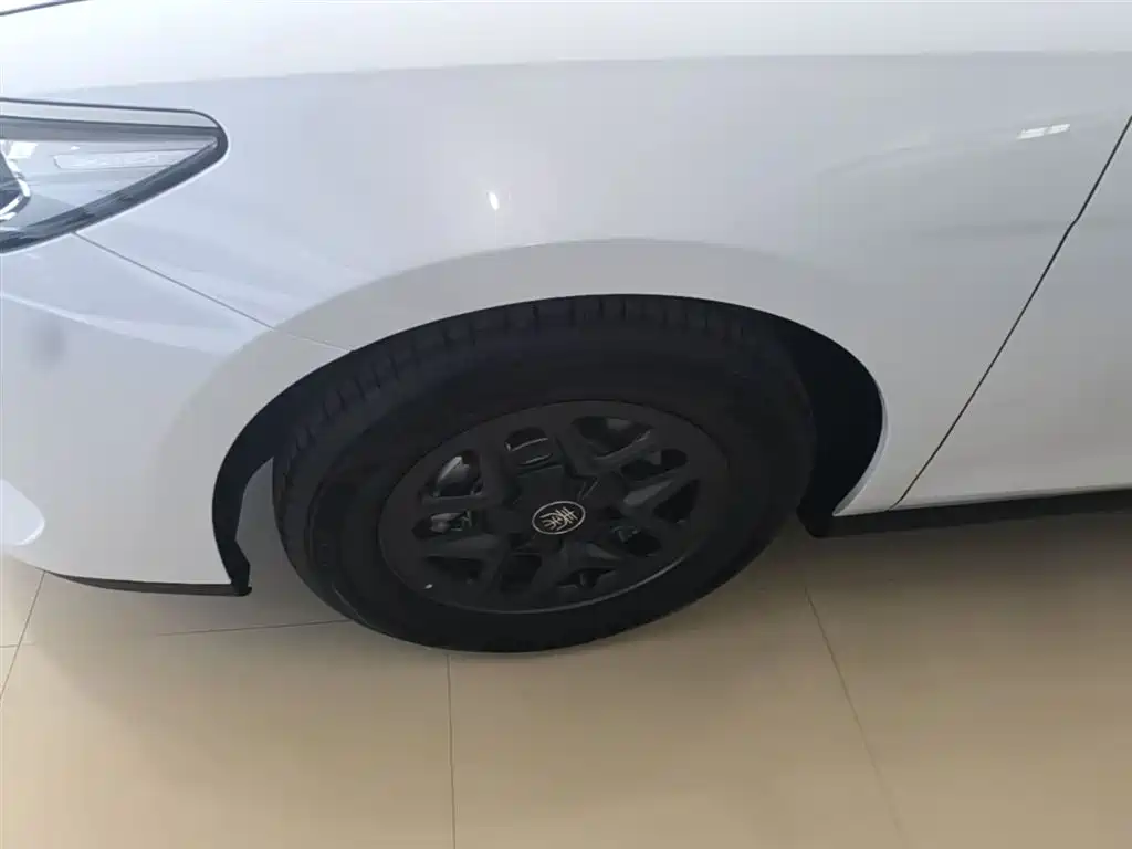 BYD Qin PLUS 2025 DM-i Smart Drive 55KM Leader фото 23