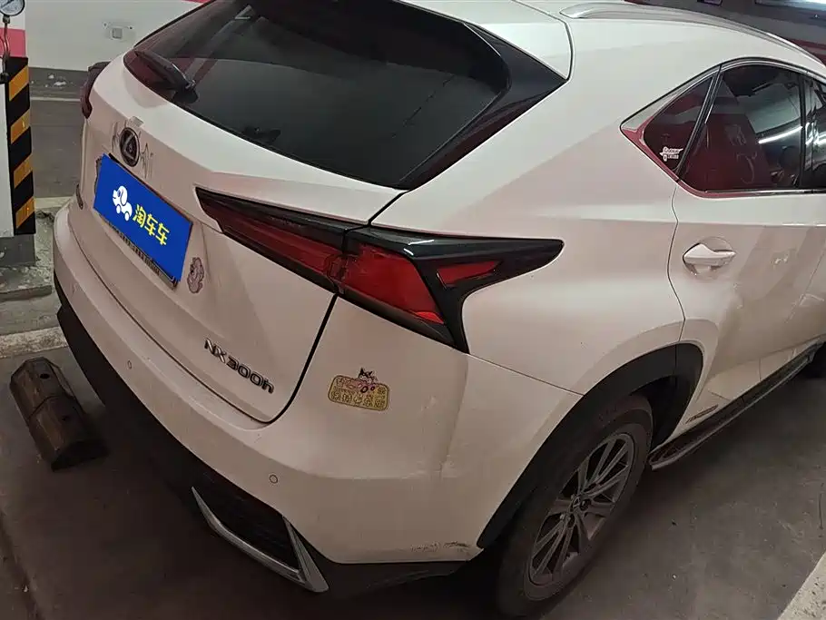 Lexus NX 2018 Model 300h FWD Fengshang Edition China V фото 3