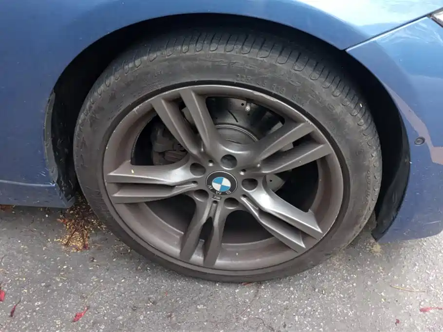 BMW 3 Series 2019 320Li M Sport Black Night Edition фото 6