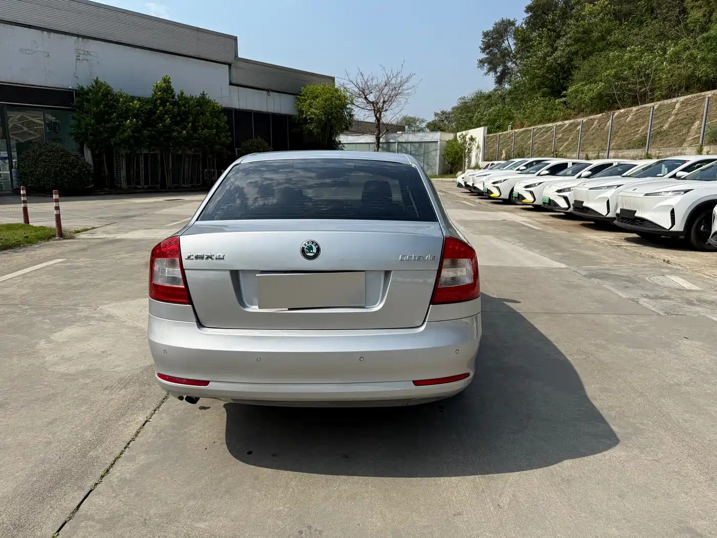 Škoda Octavia 2013 1.6L Automatic Prestige Edition фото 7