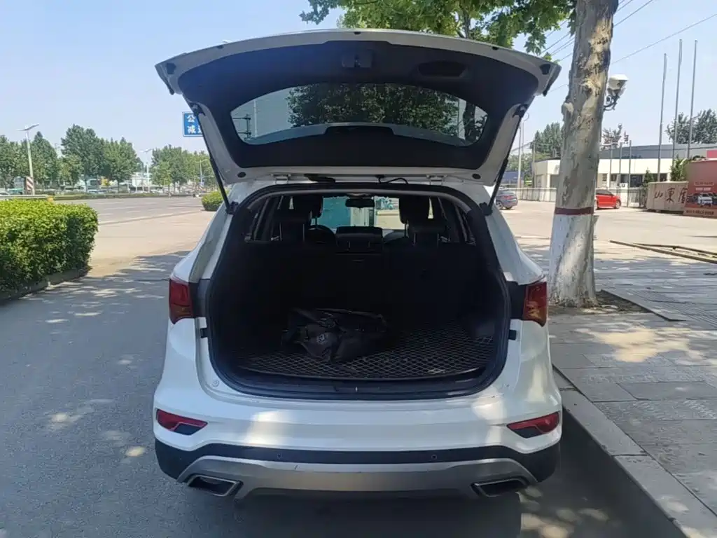 HYUNDAI SHENGDA