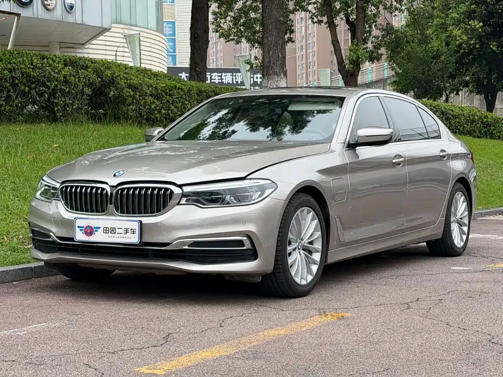 BMW 5 Series New Energy 2020