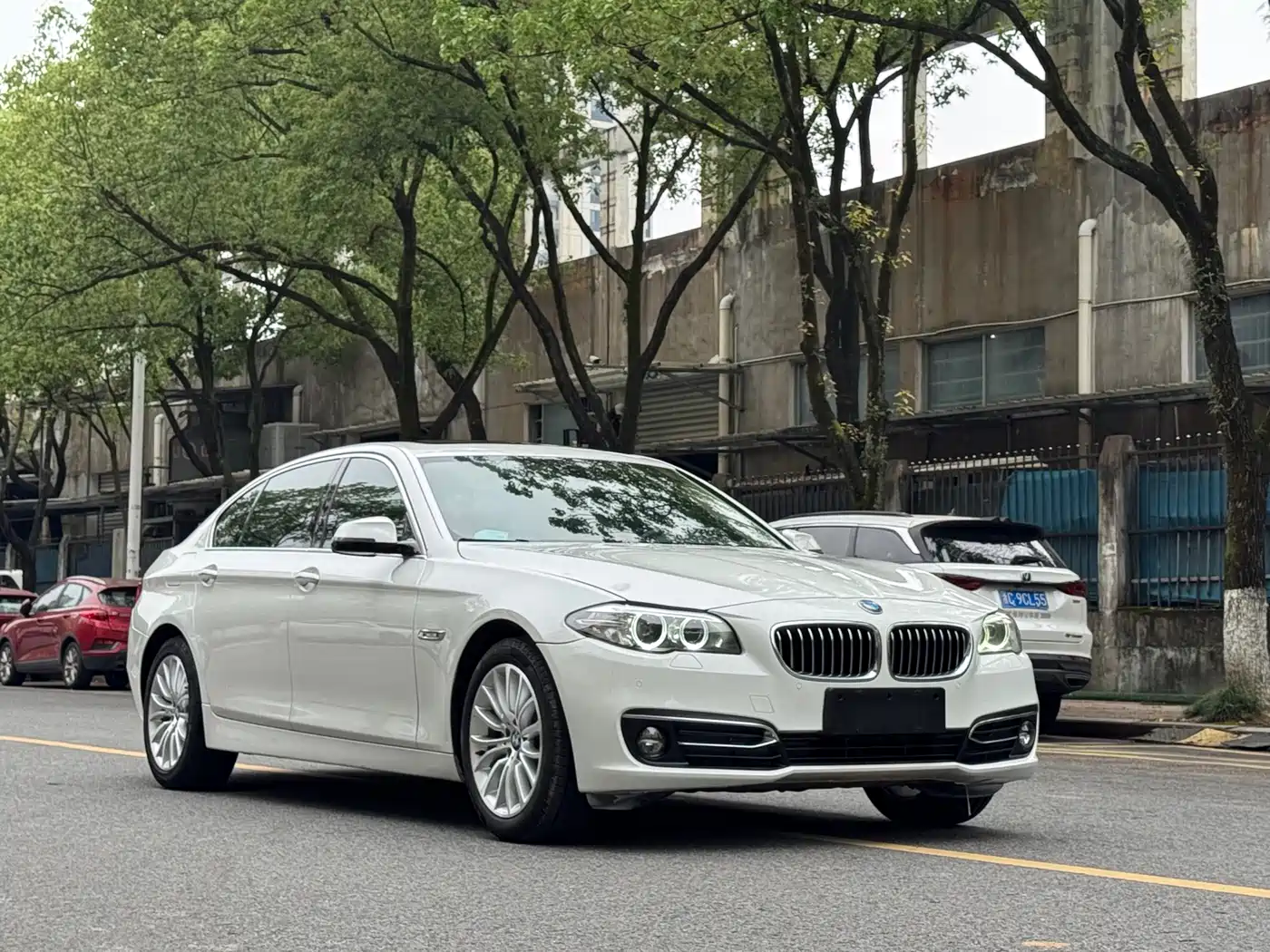 BMW 5 Series 2017 525Li Luxury Design Package фото 5