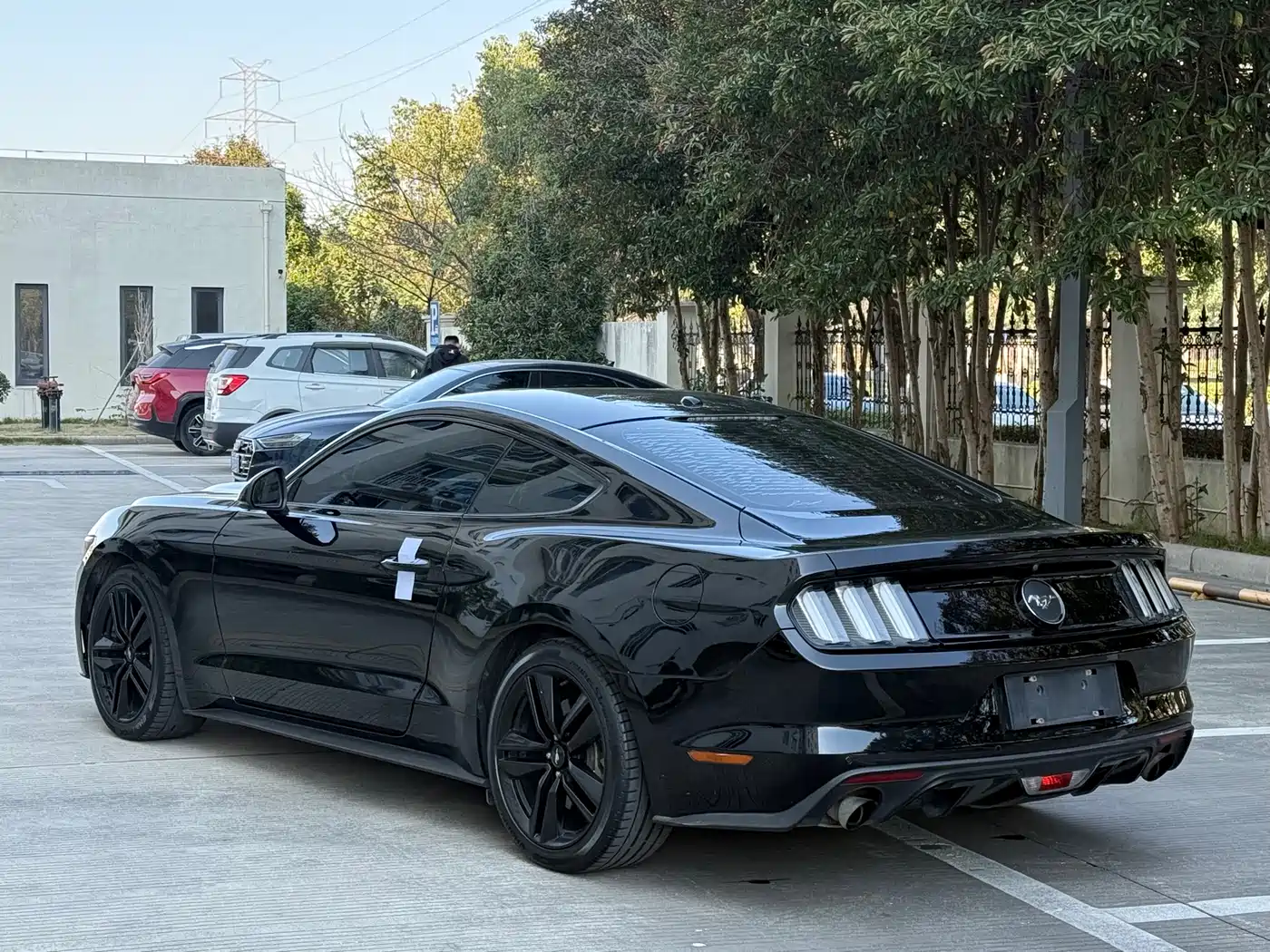 Ford Mustang 2017 2.3T Performance Edition фото 10