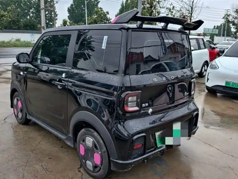 Geely Galaxy Panda 2025 Model Year 210km Panda Kart фото 6