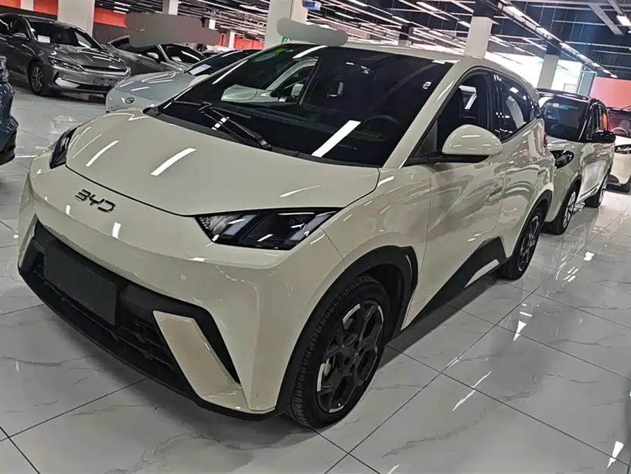 BYD Seagull 2024 Glory Edition 405km Soaring Edition