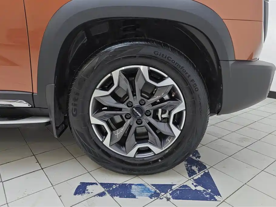 Haval Big Dog 2021 2.0T DCT 4WD Chinese Rural Dog Edition фото 6