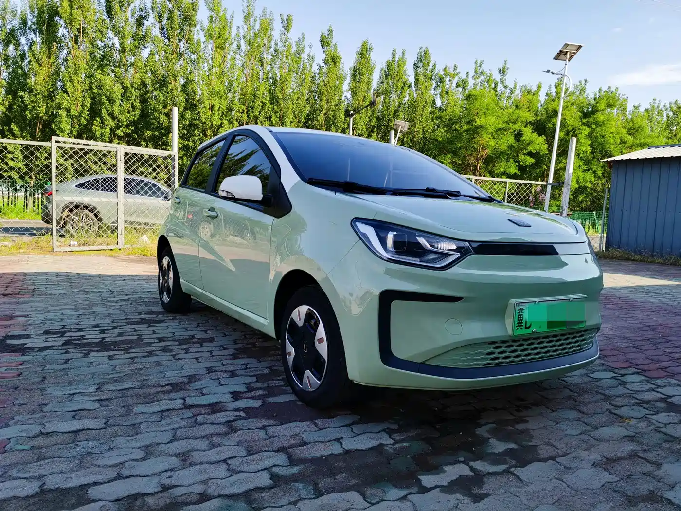 Sehol Flower Fairy 2023 2023 Anniversary 301km Four-Leaf Clover 36kW