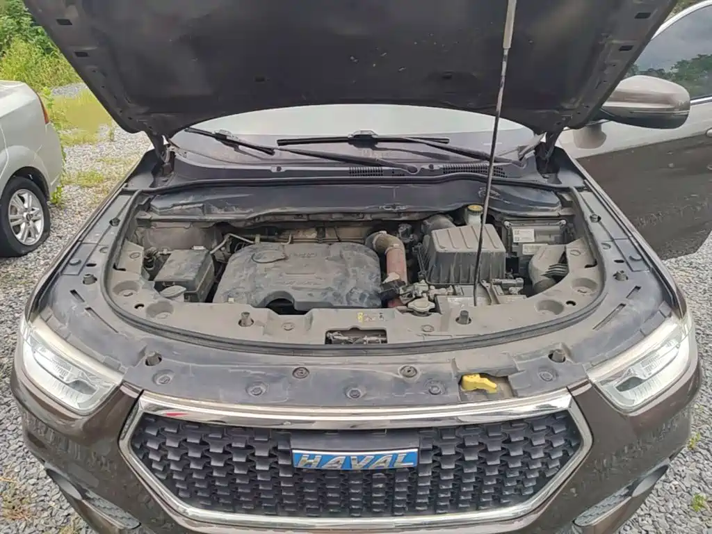 Фото 20 - Haval H2