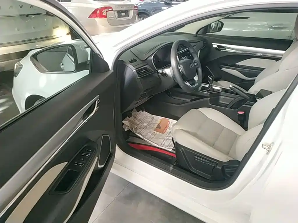 Photo 16 - Geely Binrui
