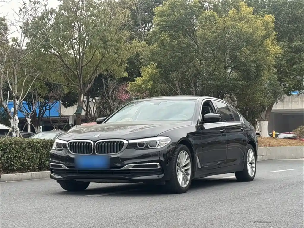 BMW 5 Series 2019 Facelift 525Li Luxury Package фото 2