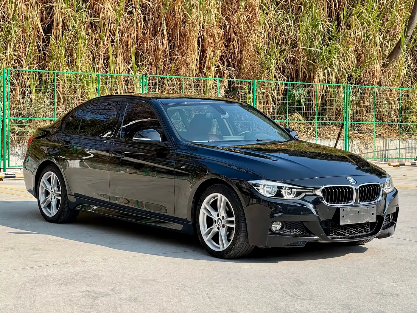 BMW 3 Series 2019 320Li M Luxury Package фото 3