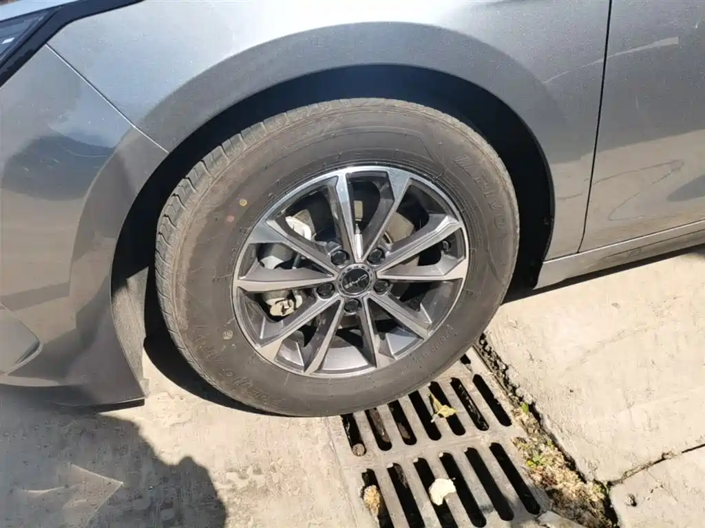 BYD Destroyer 05 2024 Glory Edition DM-i 55KM Luxury фото 23
