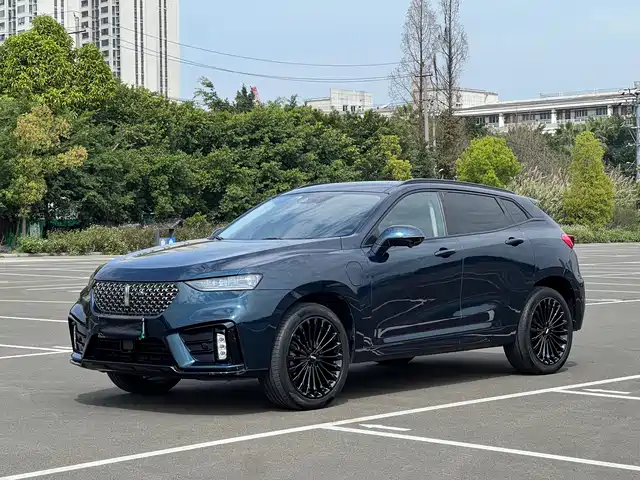 WEI PAI WEI BRAND VV7 NEW ENERGY