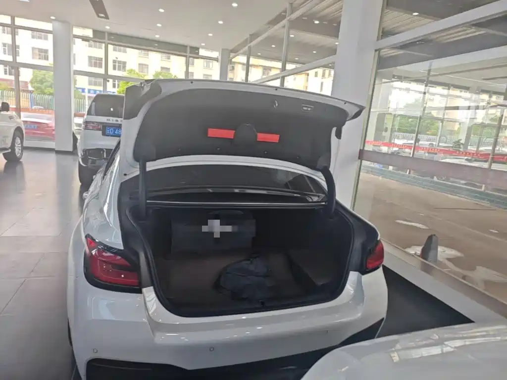 BMW 5 SERIES NEW ENERGY
