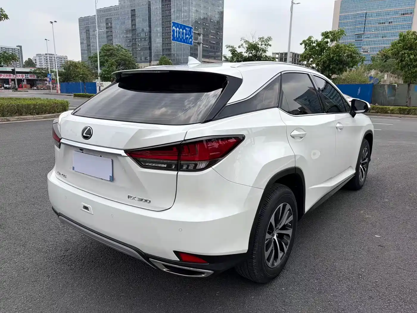 Lexus RX 2020 Facelift 300 2WD Elite Edition фото 6