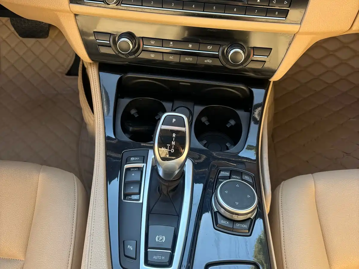 BMW 5 Series (Import) 2015 528i xDrive Luxury Design Package фото 13