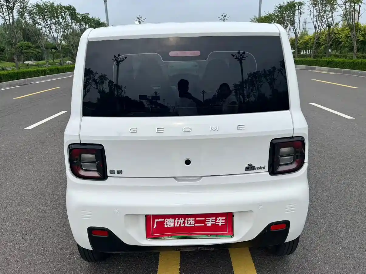 Фото 6 - Geely Galaxy Panda