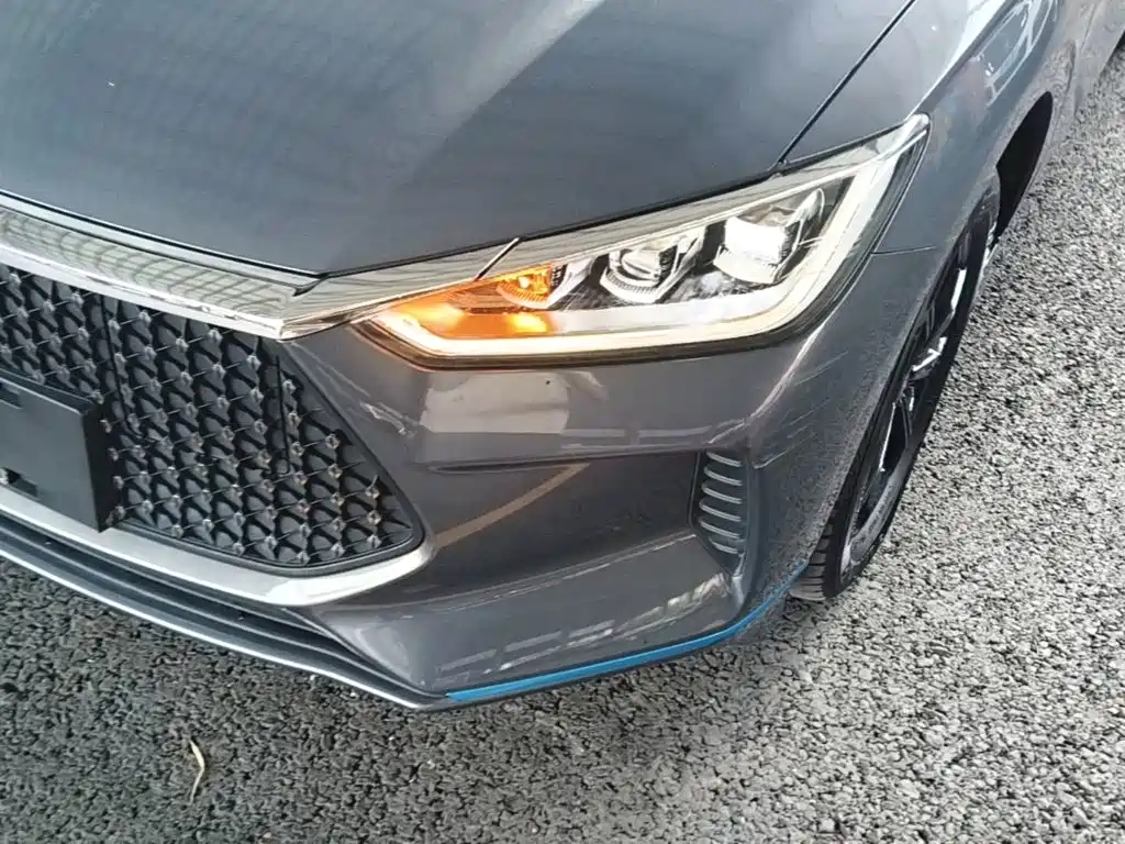 BYD e2 2021 2021 Luxury Edition