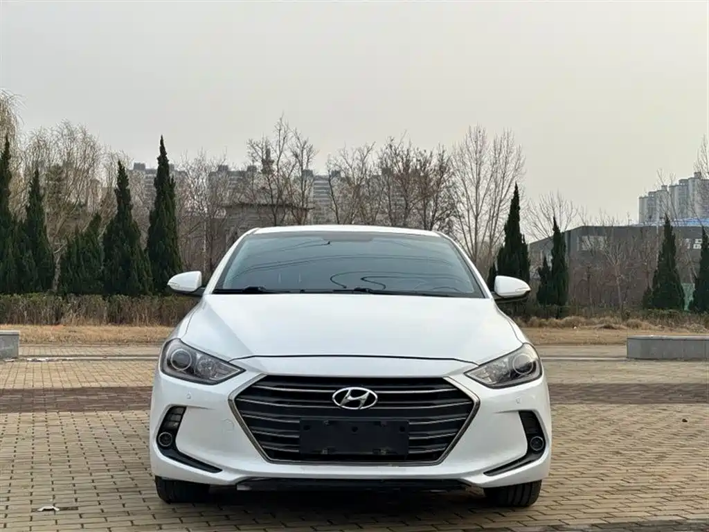 HYUNDAI LEAD